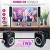 Torre de Sonido 100W Subwoofer 10″ + 4 bocinas de 2.25″con Micrófono Recargable FS-T828